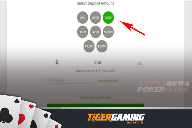 Depositing at TigerGaming Poker