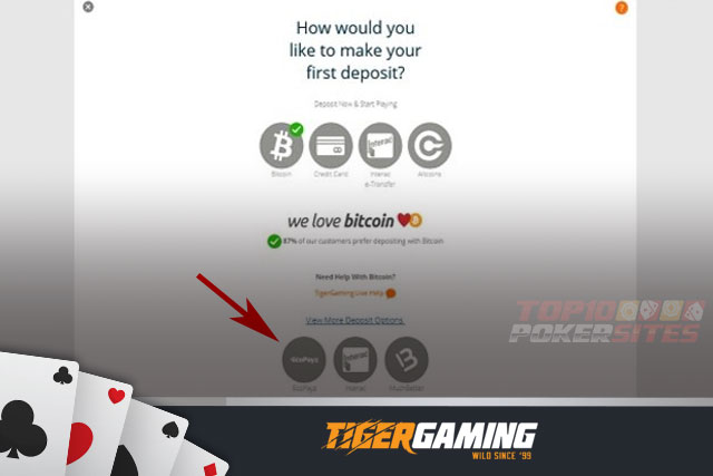 ecoPayz deposit option at TigerGaming Poker
