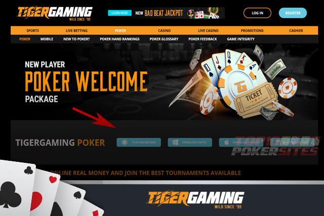 TigerGaming Poker: Play Options